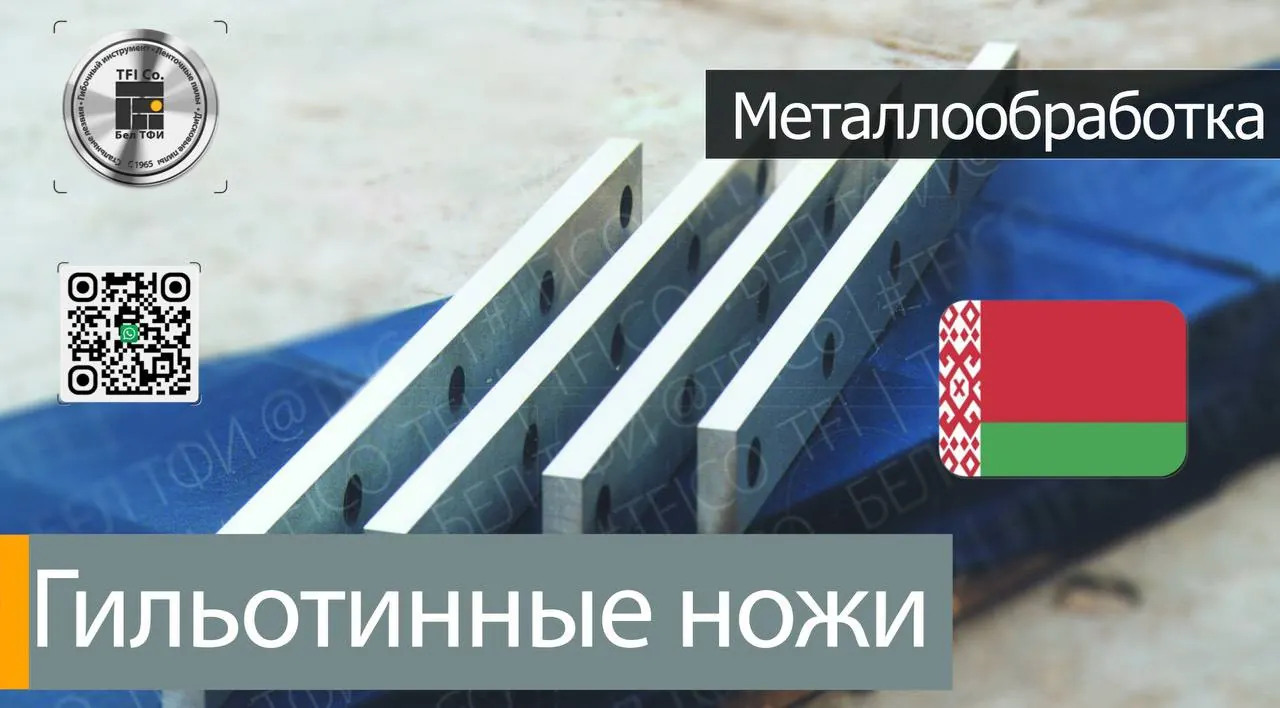 395 bel tfi co uae belarus